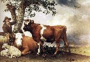 paulus potter The bull. France oil painting artist